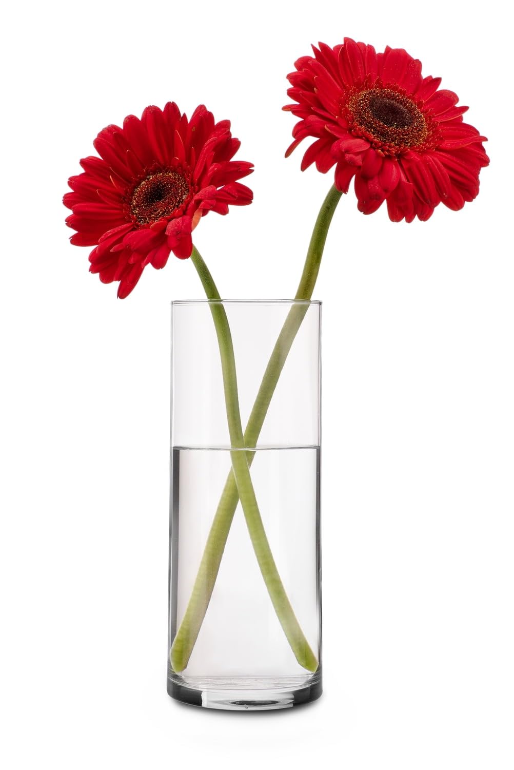 Clear Glass Cylinder Floral Vase, 15"(Single) - product image 3