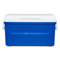 48QT Hard Sided Insulated Ice Chest Cooler Box, 45L Large Capacity Long Time Cold Retention Cooling With Stain & Odor Resistant Liner For Camping Beach Picnic Tailgating Family Outdoor Party